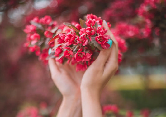 proaging - dobre starzenie się